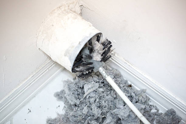 Air Duct Mold Removal in OH